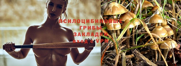 соль ск Алексеевка