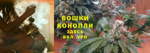 соль ск Алексеевка