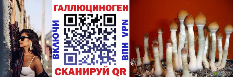 mega ССЫЛКА Аркадак Псилоцибиновые грибы Magic Shrooms